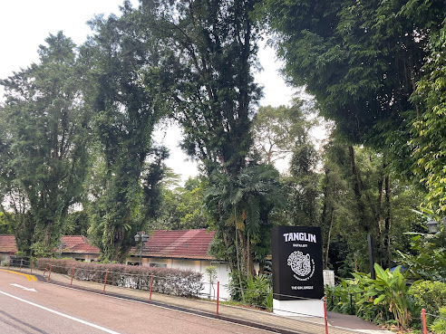 The Tanglin Gin Jungle by null