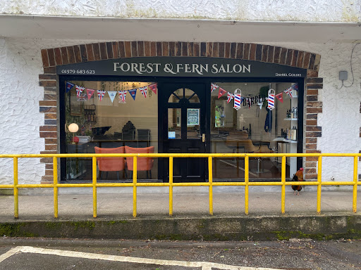 Forest and Fern Salon
