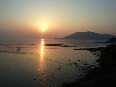 Photos of 와온해변