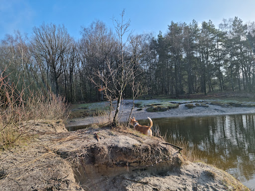 Parels van de Veluwe
