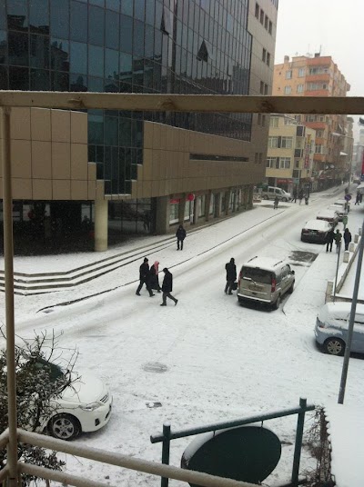 Photos of Diş Hekimi &Ouml;zg&uuml;r Başaran