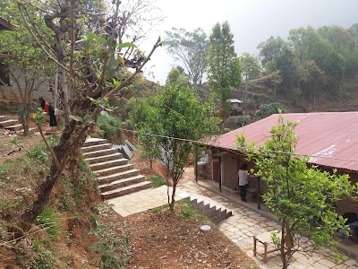 Photos of Shreeban Nature Camp