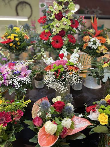 Sonnenblumenwerkstatt - Visual