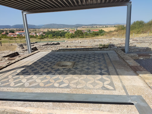 Roman Site of Iruña Veleia - Thumbnail