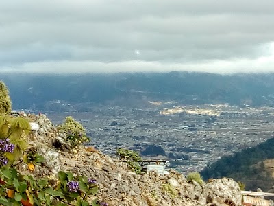 Photos of Comercial Camino Real