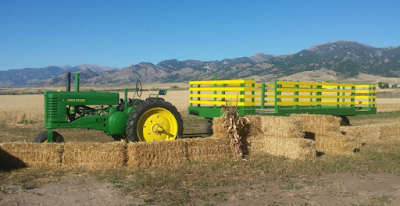 Bozeman Maze