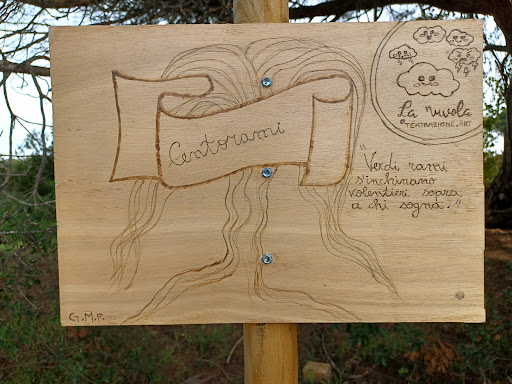 Centorami - Visual