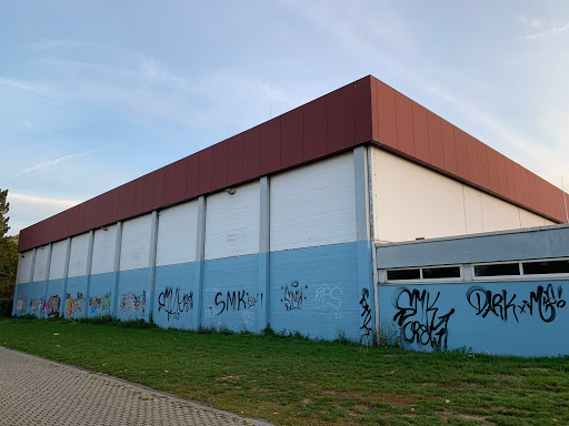 Municipal Copernicus-Gymnasium Niederkassel Logo