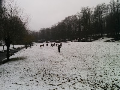 Photos of Bilsteintal: Tropfsteinh&ouml;hle und Wildpark in Warstein