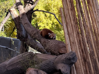 Asian Highlands at Hogle Zoo