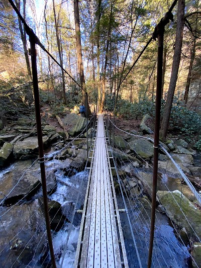 Savage Gulf State Natural Area