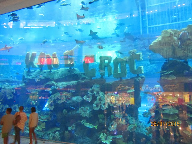 Dubai Mall parking