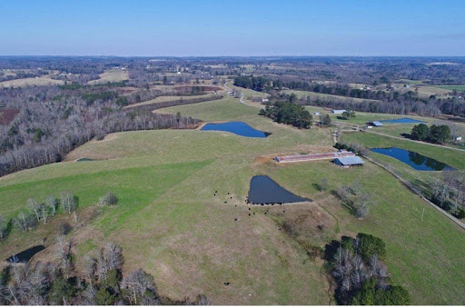 NuVision Real Estate LLC - Thumbnail
