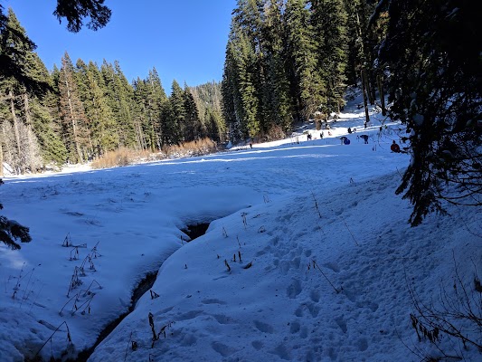 Ponderosa - Image 3