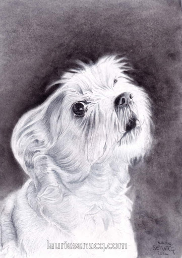 Laurie Sénacq - Artiste portraitiste - Thumbnail