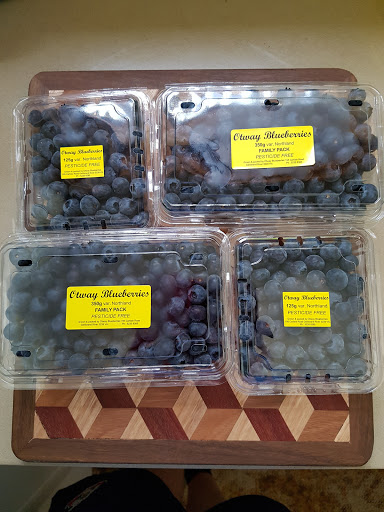 Otway Blueberries - Thumbnail