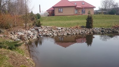 Photos of Ravita-3