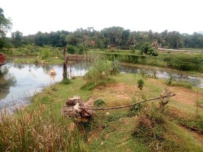 Photos of Pinnawala Zoo