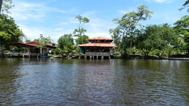 Tortuguero