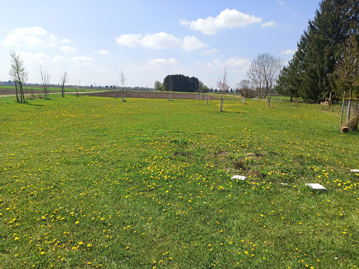 Amigosfeld - Visual
