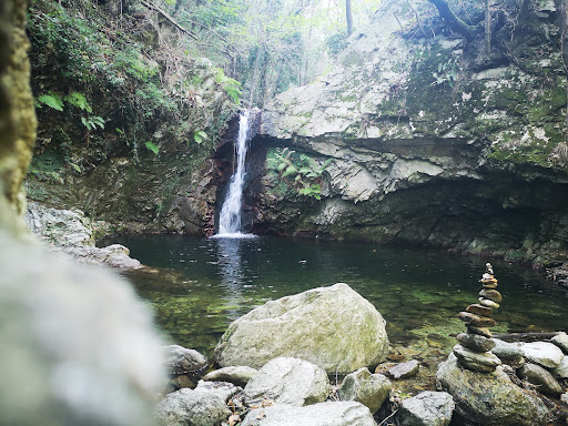Dennis Wasserfall - Thumbnail