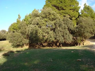 Photos of القطية