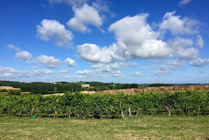 Photo n°2 de Château Le Pis à Taillecavat (Vignoble)