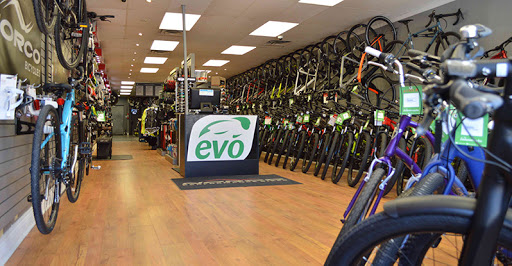Evolution Cycles - Visual