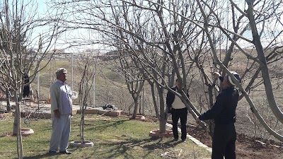 Photos of Cuma &Ccedil;etin &Ccedil;iftliği