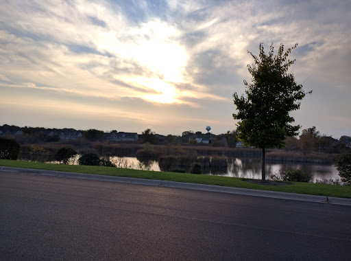 Wedgewood Subdivision - Wetlands - Thumbnail