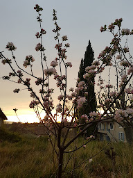 Photo n°19 de Domaine Saint Pierre à Sannes (Gîte)