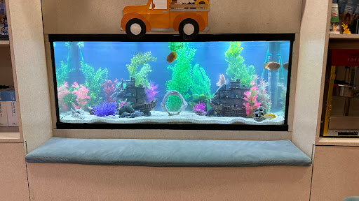 Wright Aquarium Services - Visual