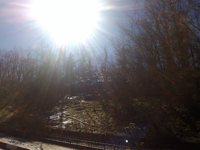 Photos of Ain Ifrane