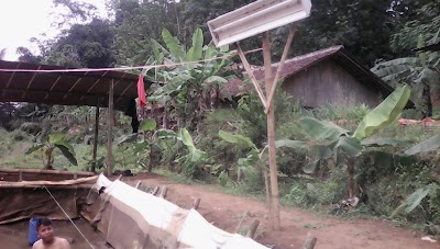 Photos of Maju, Pd