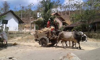 Photos of Tambang Pasir Lodan Kulon