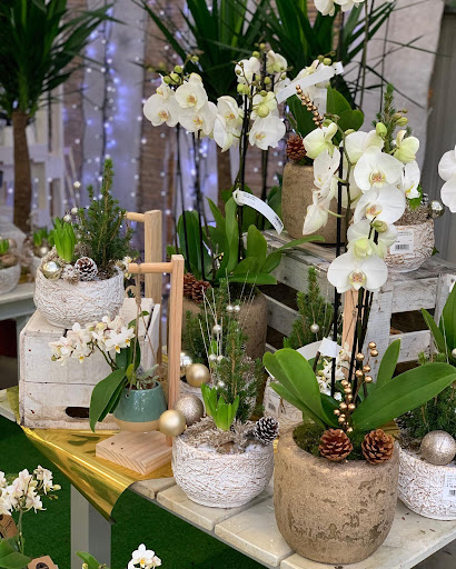 Photo de Les Serres d'Angresse - Jardinerie à Angresse (40150)