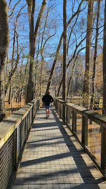 Congaree National Park by null