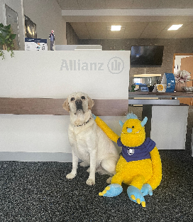 Allianz Versicherung Urbanczyk und Völksch GbR Hauptvertretung in Schönebeck (Elbe) - Altstadt - Thumbnail