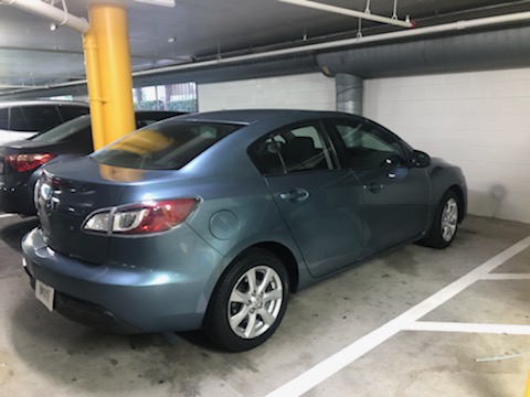 August Auto - Visual