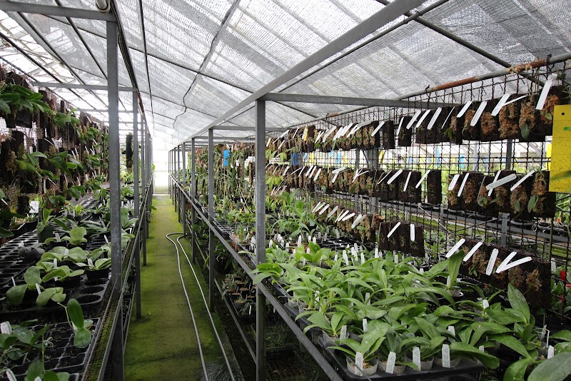 国際園芸（株）