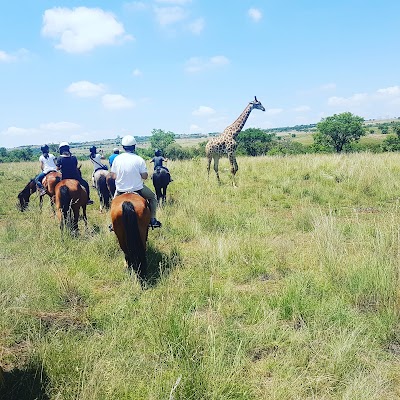 Photos of Harties horse trail safaris