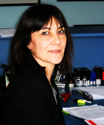 Studio Legale Savini - Associazione Professionale - Thumbnail