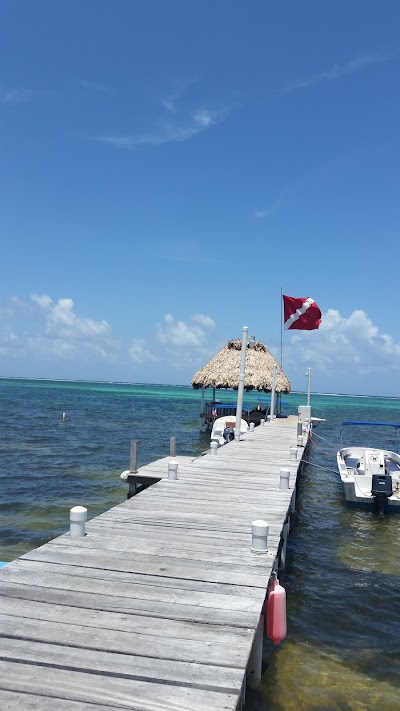 Photos of White Sands Dive Shop