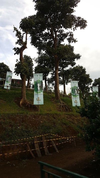 Photos of Flying Fox Adventure