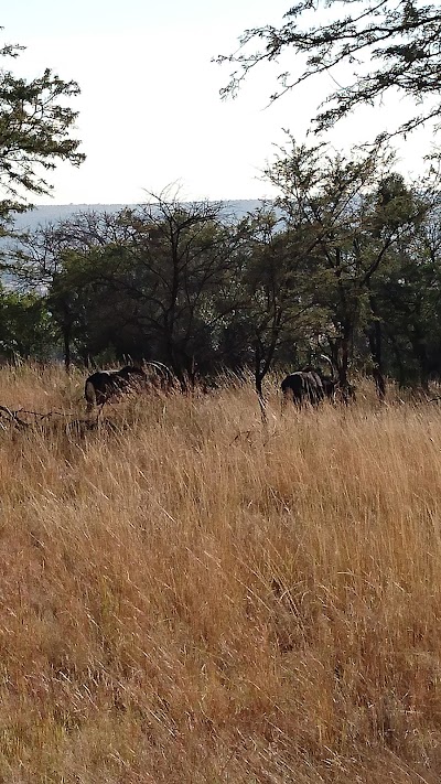Photos of Kumbagana Game Reserve