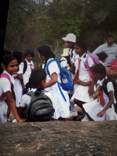 school