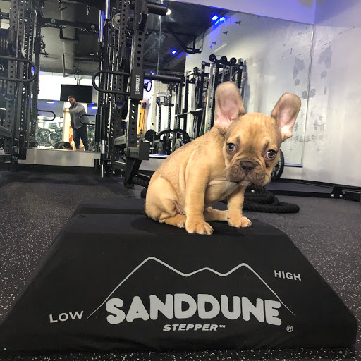 Tenafly Art of Fitness Gallery - United States