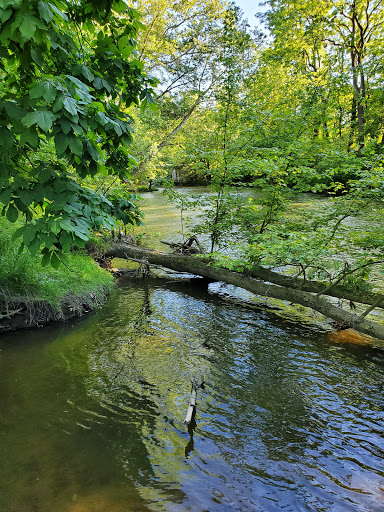 Foster Metropark - Visual