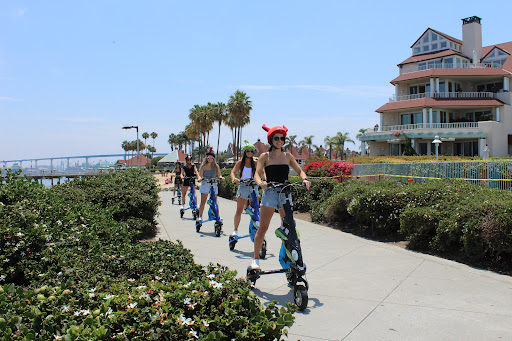 Paradise Trike Tours Logo