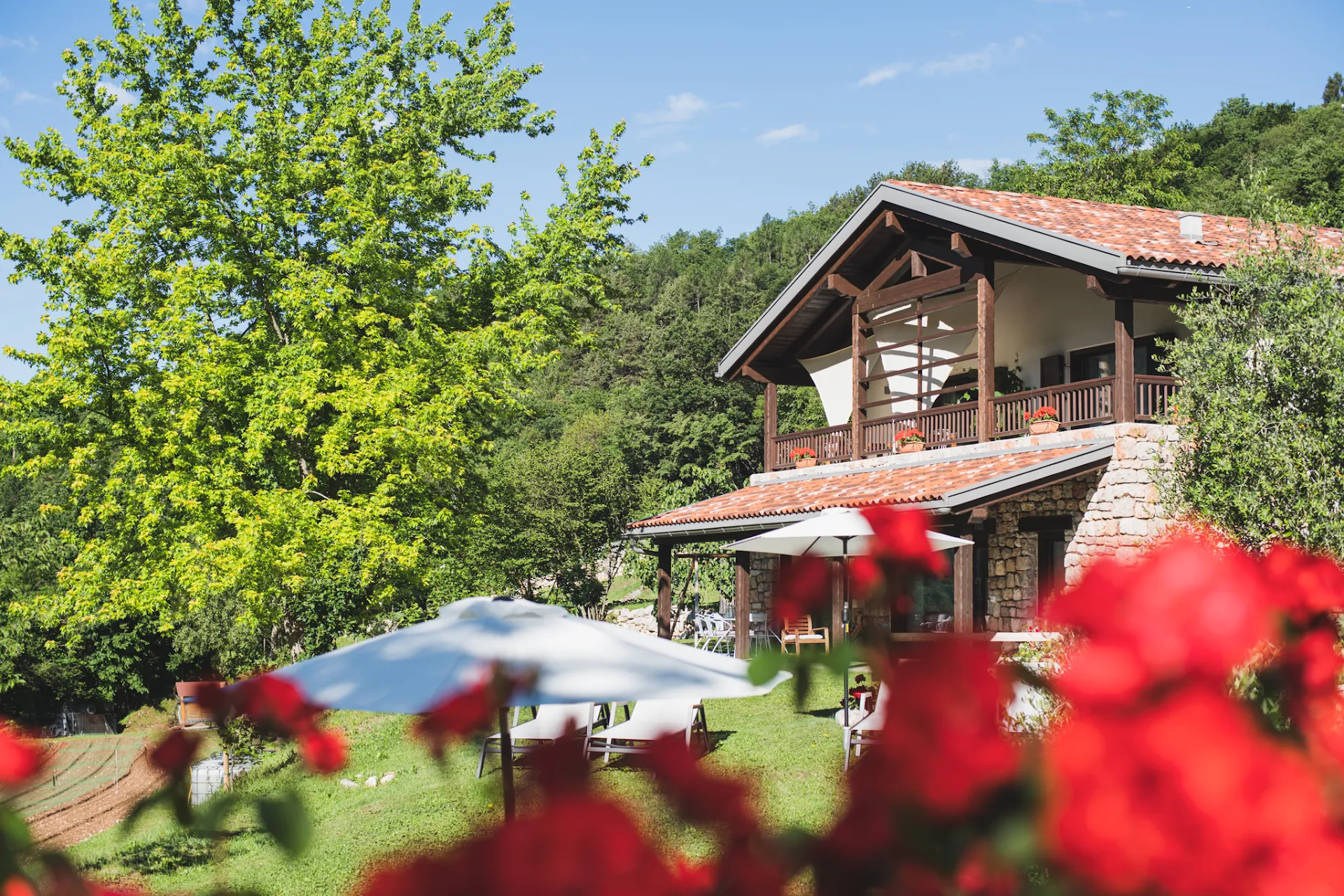 Coste del Gaggio - Country House B&B